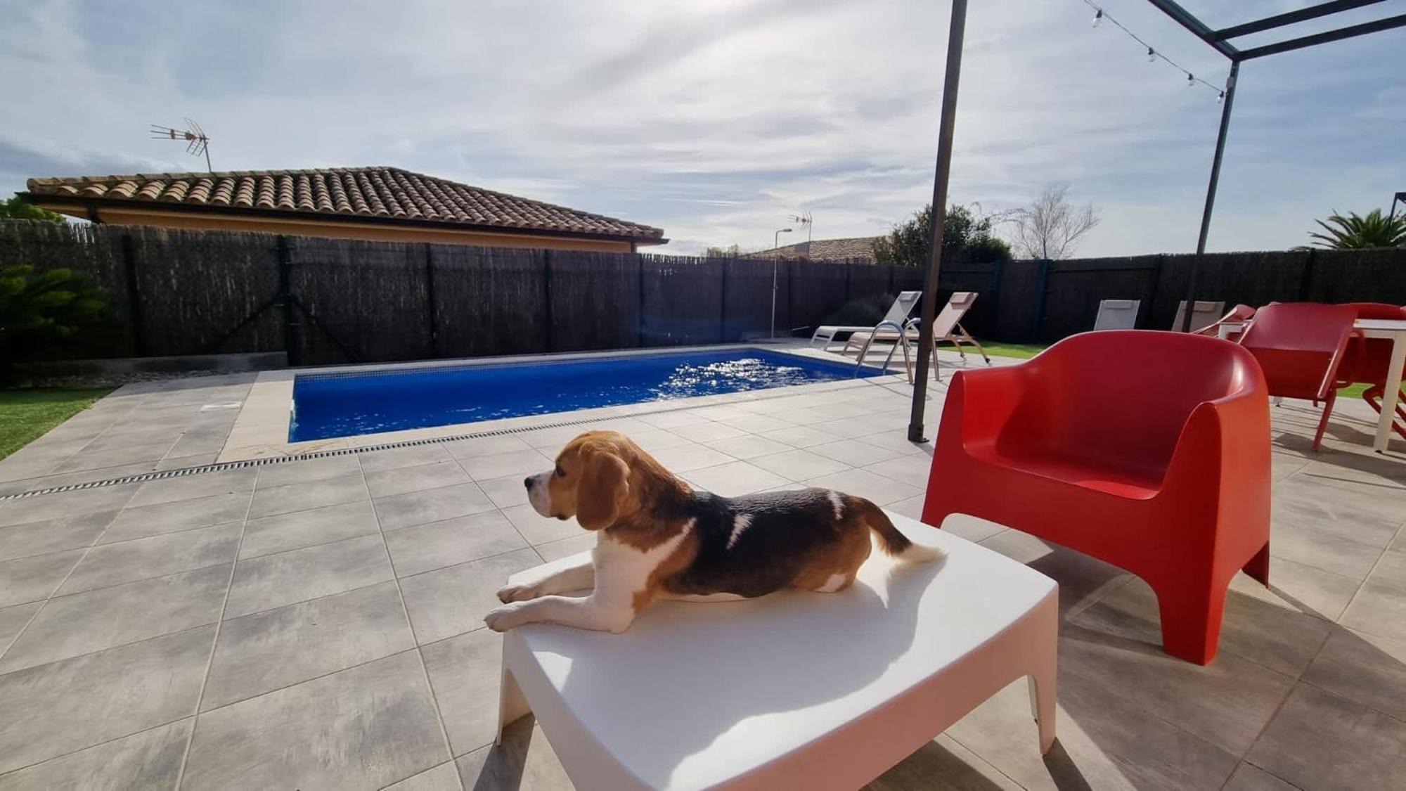 Villas Medes Mar - Plus Costa Brava レスタルティット エクステリア 写真