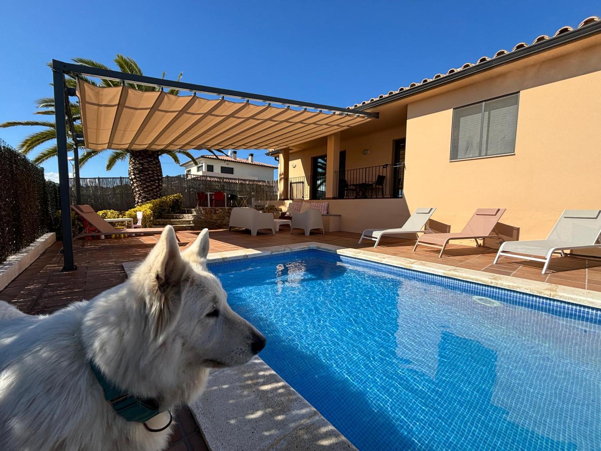 Villas Medes Mar - Plus Costa Brava レスタルティット エクステリア 写真